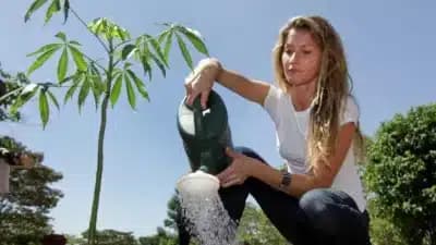 Imagem card com fundo