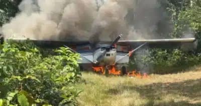 Imagem do post de destaque