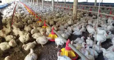 Imagem do post de destaque