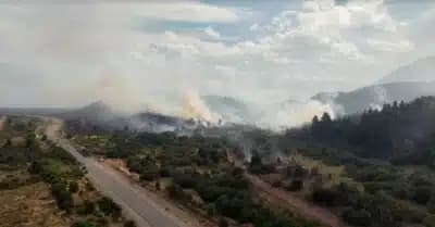 Imagem card com fundo