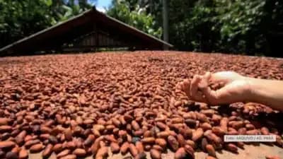 Imagem card com fundo