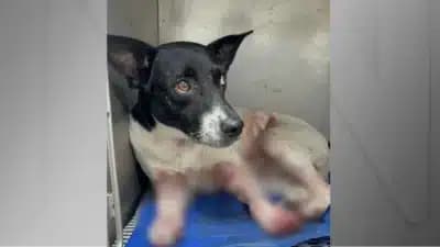 Imagem card com fundo